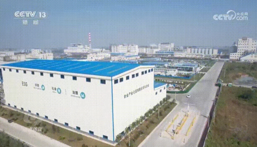 《焦點(diǎn)訪談》報(bào)道：益海嘉里周口產(chǎn)業(yè)園緊鄰“黃金水道”，做強(qiáng)“糧頭食尾”