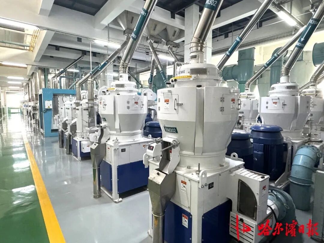 一粒方正大米，帶你體驗(yàn)從稻谷到餐桌米飯的沉浸式“智造之旅”