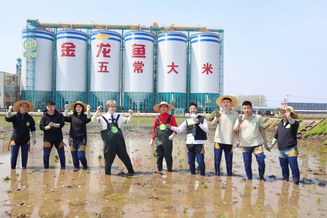 金龙鱼6步鲜与《种地吧4》少年共赴春耕之约，揭秘“双第一”鲜米密码